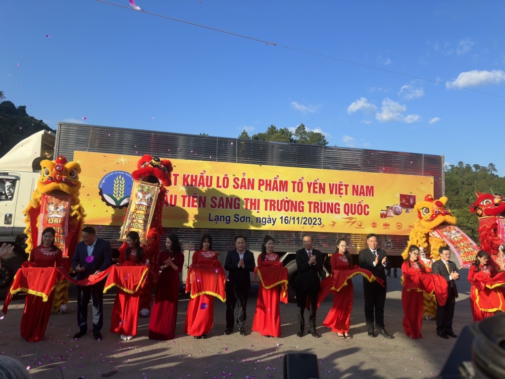 Vietnam exporta el primer lote de nidos de pájaro a China