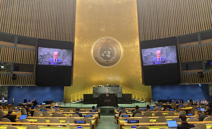 Vietnam apoya la reforma del Consejo de Seguridad de ONU