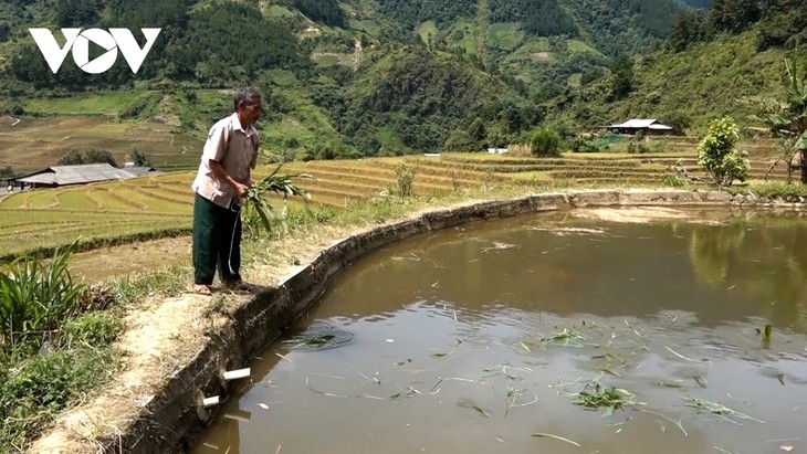 La prosperidad que trae la gran unidad a los pueblos montañosos de Yen Bai