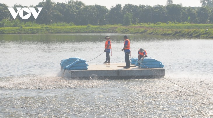 La industria del pangasius en el delta del Mekong apunta a una economía circular y reducción de emisiones