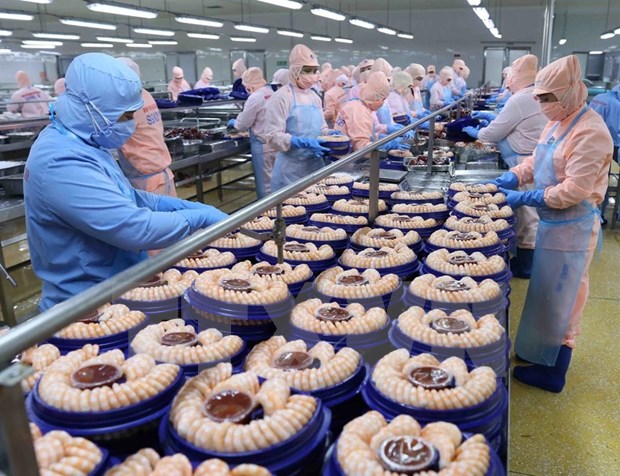 Vietnam exporta camarones a 100 países y territorios