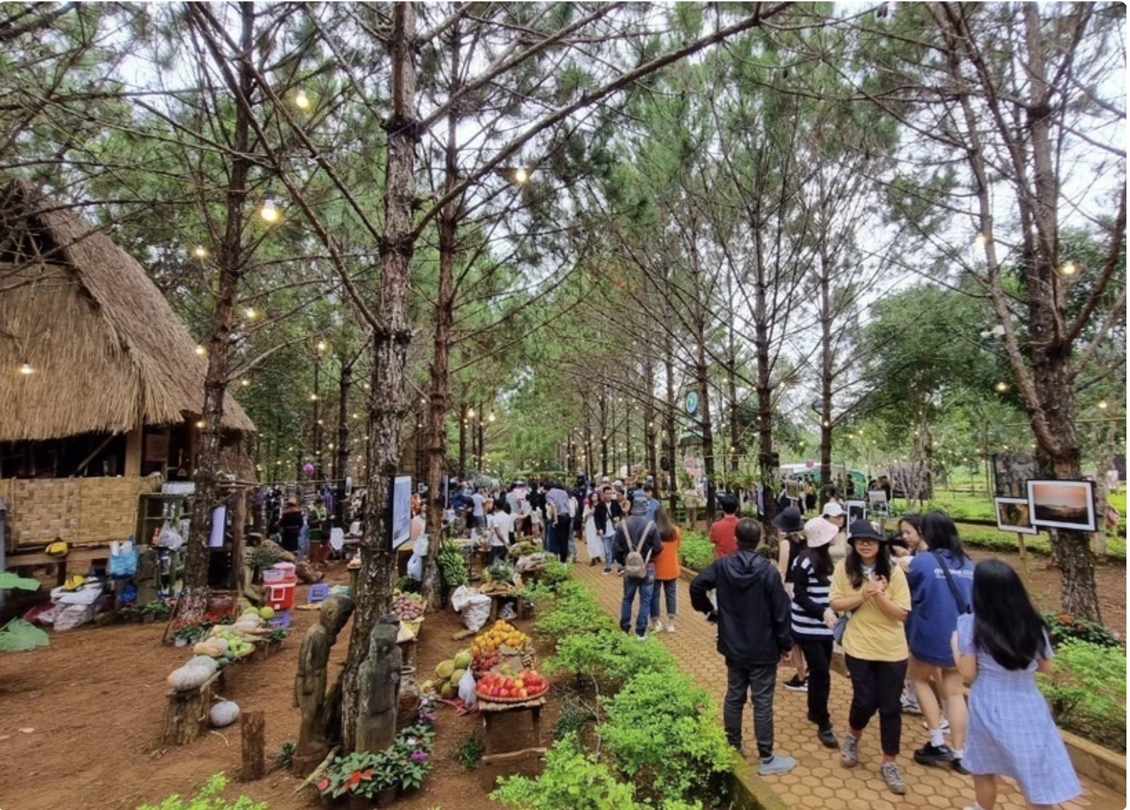 Esfuerzos para que en el 2045, Mang Den será el nuevo centro turístico y turístico regional