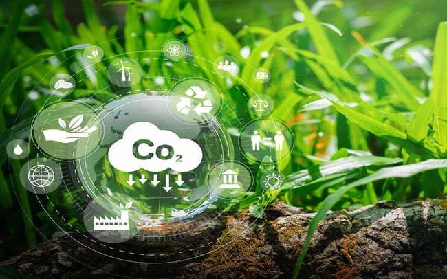El mecanismo de ecologización de la UE y la adaptación de las empresas vietnamitas