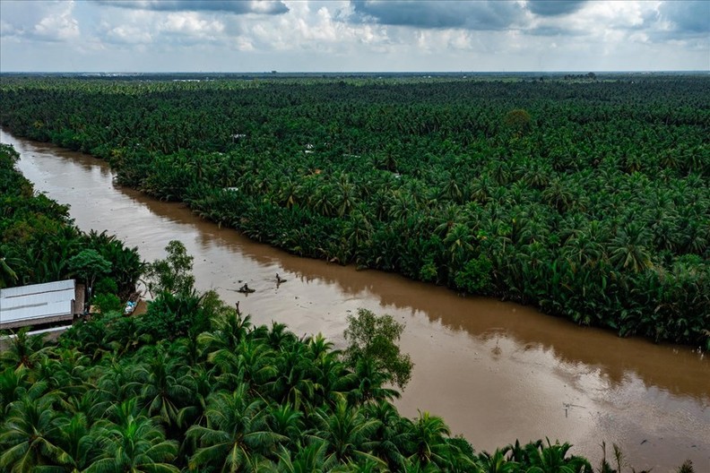 Ben Tre, la tierra de cocos con artesanías
