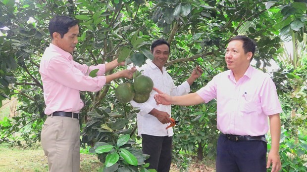 Vietnam aumenta presupuesto a reducción sostenible de la pobreza