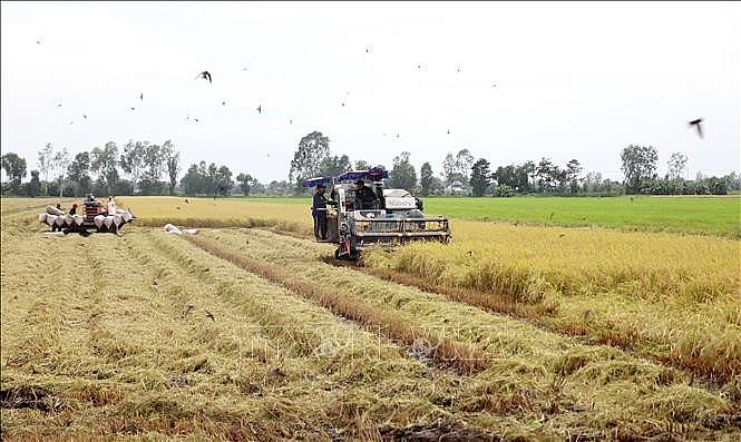 Cultivo de plantas de Vietnam busca lograr valor de exportaciones por encima de los 26 mil millones de dólares