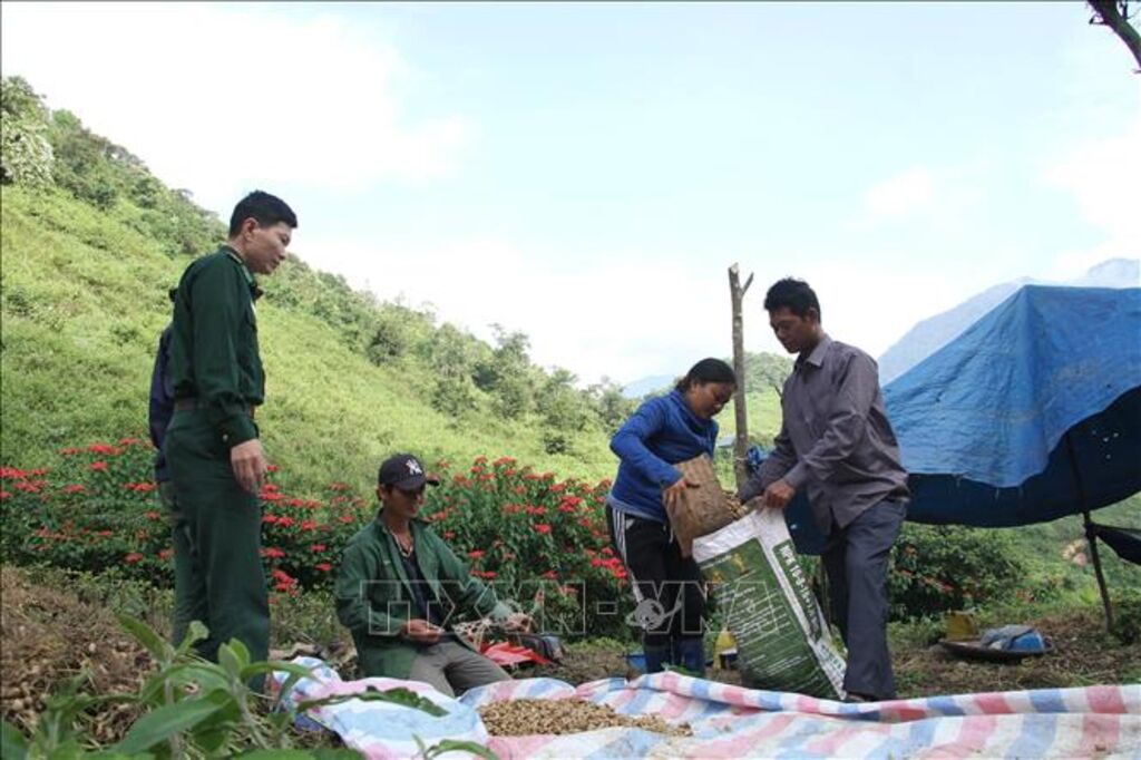 Tasa de pobreza multidimensional de Vietnam baja al 2,93