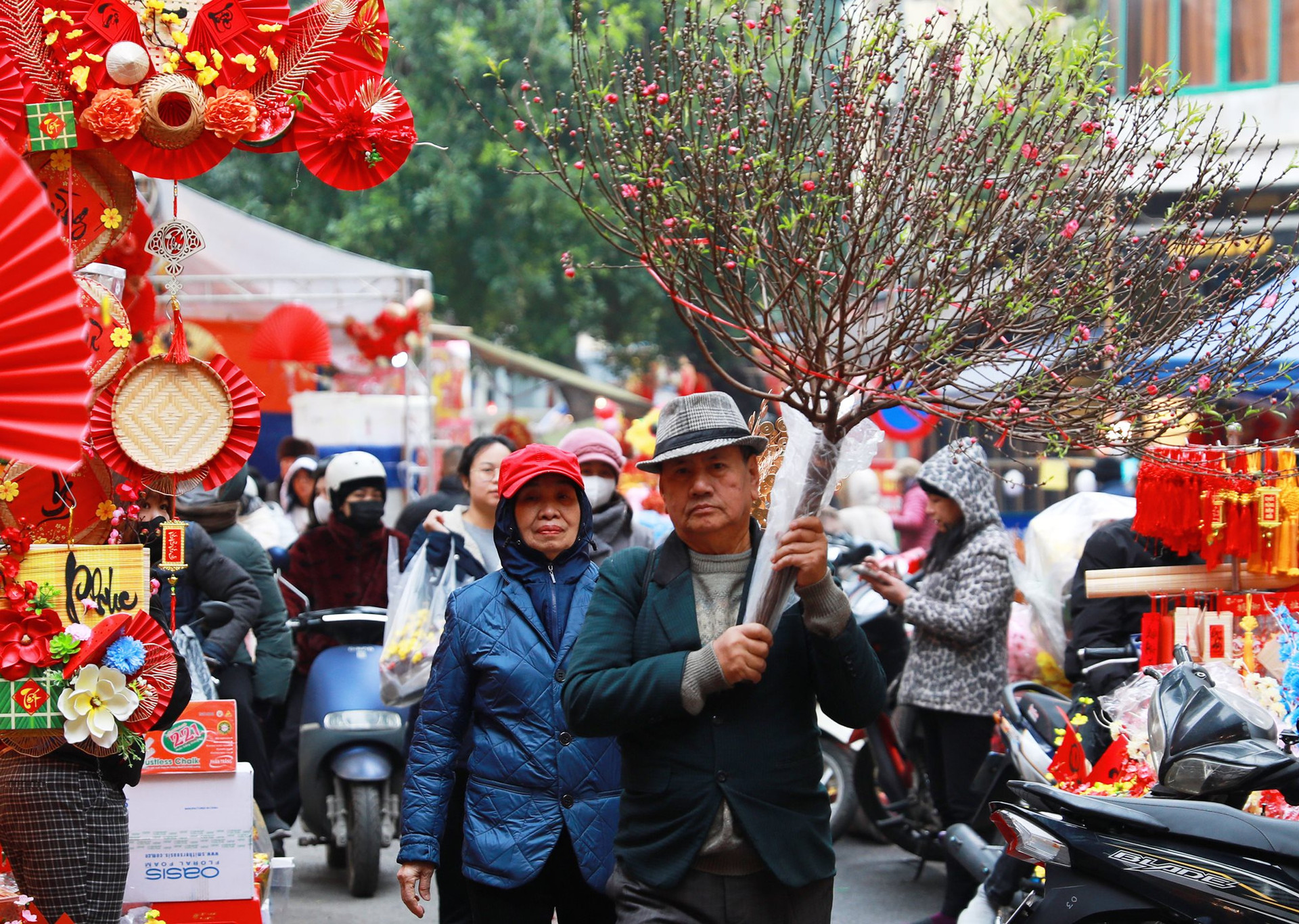 Mercado floral tradicional de Hang Luoc listo para el Tet