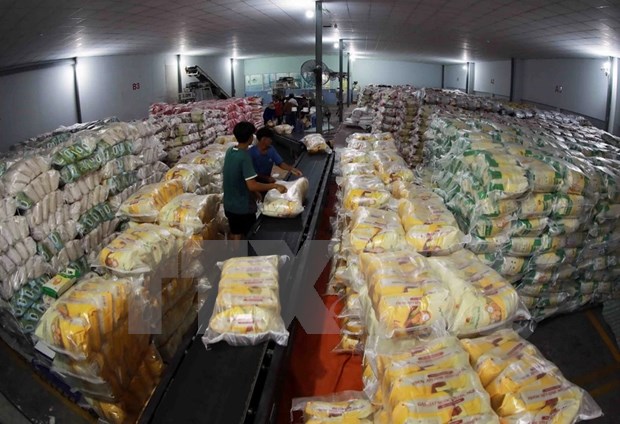 Empresas vietnamitas obtienen contratos para exportar 300 mil toneladas de arroz a Indonesia