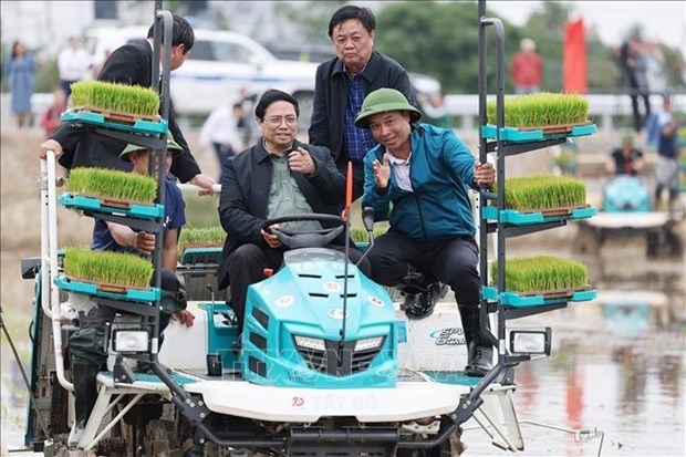 Jefe de Gobierno visita modelos de producción agrícola de Hai Duong