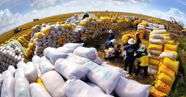 Vietnam comprometido a seguir contribuyendo a la seguridad alimentaria mundial