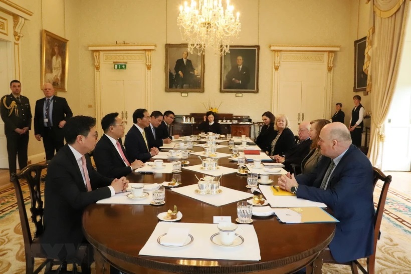 Fortalecimiento de la cooperación multifacética Vietnam-Irlanda