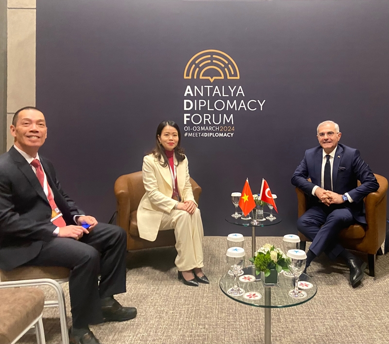 Vietnam busca impulsar la cooperación con Turquía, Kirguistán, Arabia Saudita, Nigeria y Omán