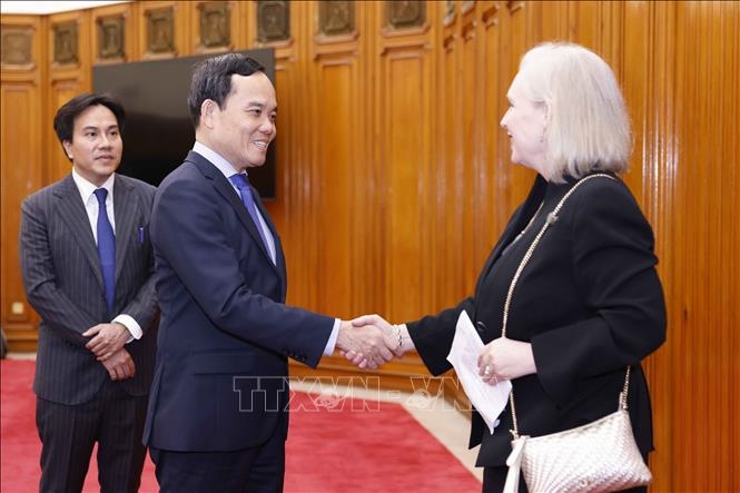 Vietnam y Estados Unidos interesados en fortalecer la cooperación en nuevos campos