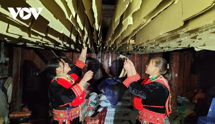 Fabricación de papel del pueblo étnico Dao Rojo en Cao Bang