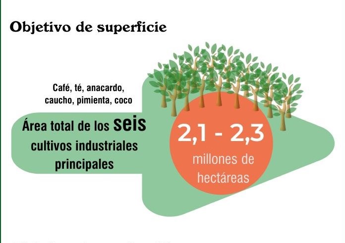 Vietnam fija objetivo de exportación de productos de cultivos industriales