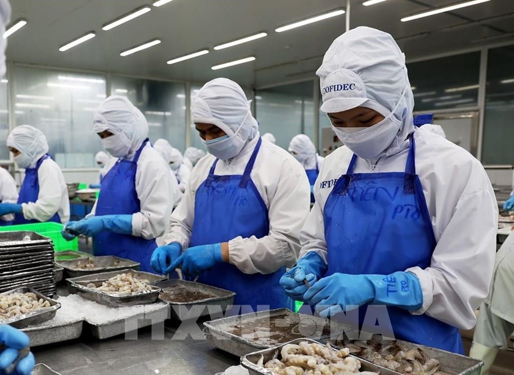 Vietnam ocupa quinto lugar entre proveedores de productos acuáticos de Singapur