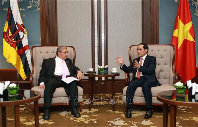 Vietnam y Brunei estrechan cooperación en la implementación de acuerdos