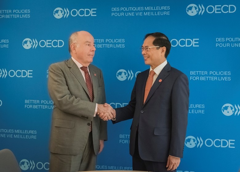 Crean nuevo impulso de crecimiento para la cooperación entre Vietnam y Brasil