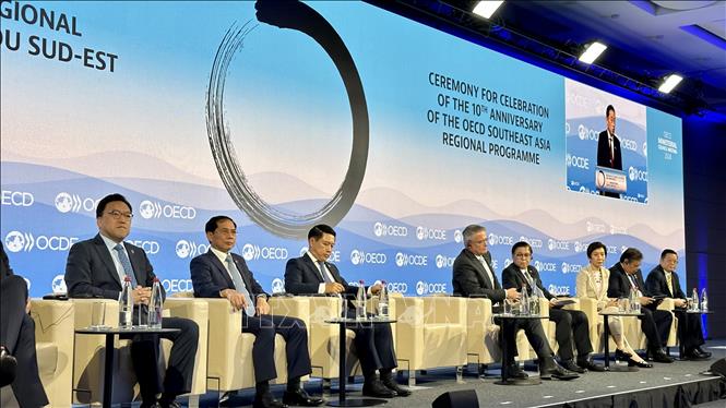 El ministro de Asuntos Exteriores Bui Thanh Son, asiste a la Conferencia del Consejo Ministerial de la OCDE