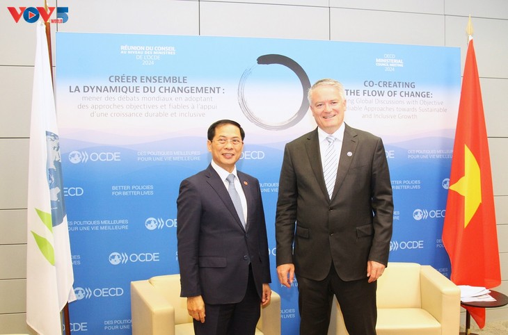 OCDE aprecia papel de Vietnam como copresidente del Programa Regional del Sudeste Asiático