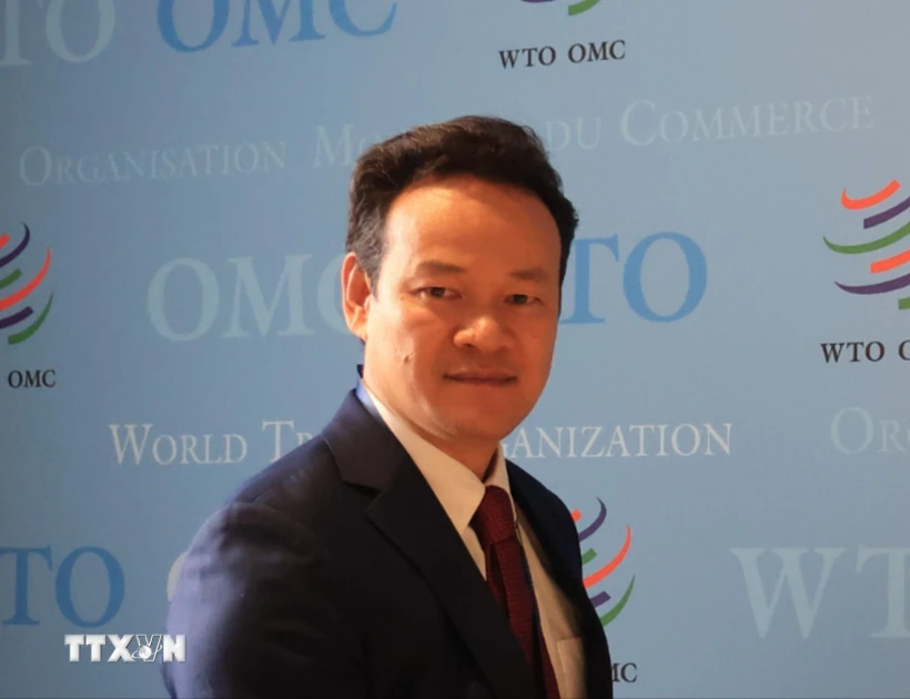 Vietnam aspira a brindar más aportes a promover la paz en el mundo