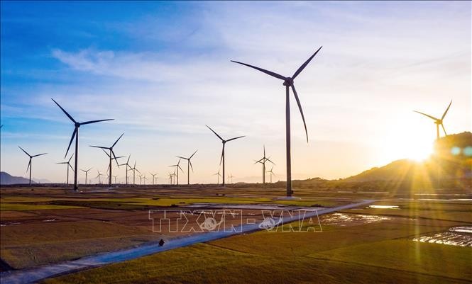 Empresas vietnamitas aprovechan oportunidades para la transición verde