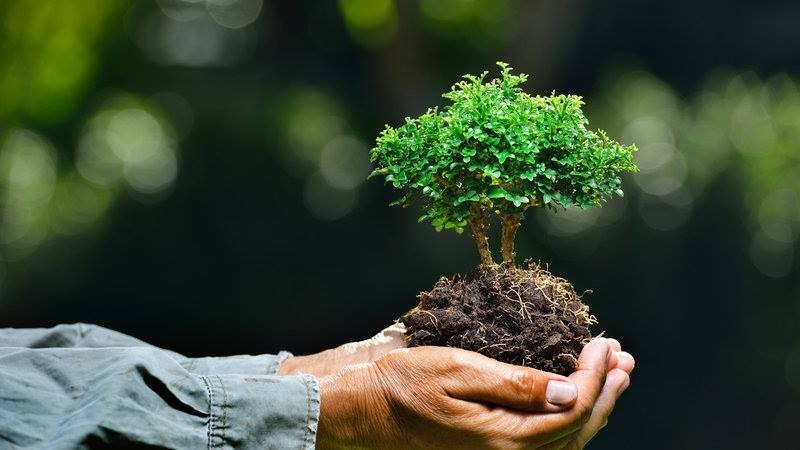 Acompañar a las empresas en la economía verde