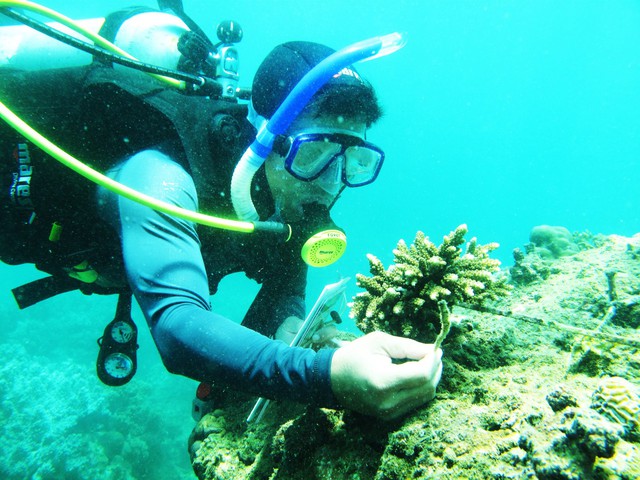 Medio internacional destaca preservación del ecosistema de Cu Lao Cham