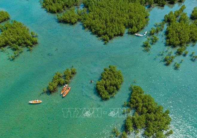 Bahía de Nha Trang de Vietnam necesita protección para desarrollo del turismo sostenible