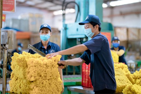 Vietnam busca aumentar el valor de las exportaciones de caucho a Estados Unidos