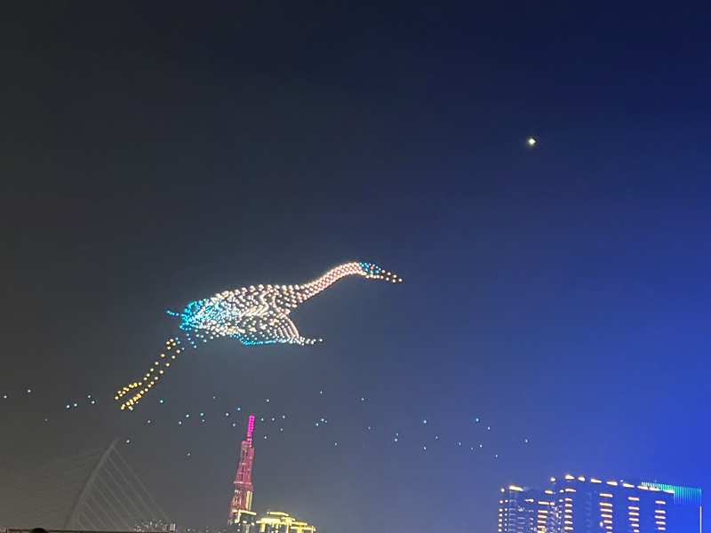 Clausura del 2 º Festival Fluvial de Ciudad Ho Chi Minh