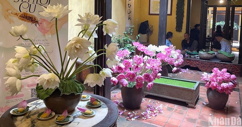 Evento resalta el arte de marinar té del loto de Hanoi