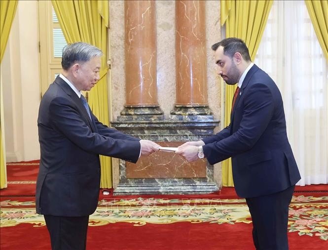 Presidente de Vietnam recibe a embajadores extranjeros