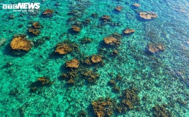 Belleza de Hon Kho en la estación seca