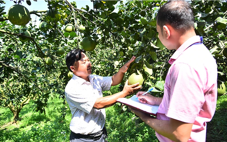 Conferencia para promover las exportaciones de productos agrícolas