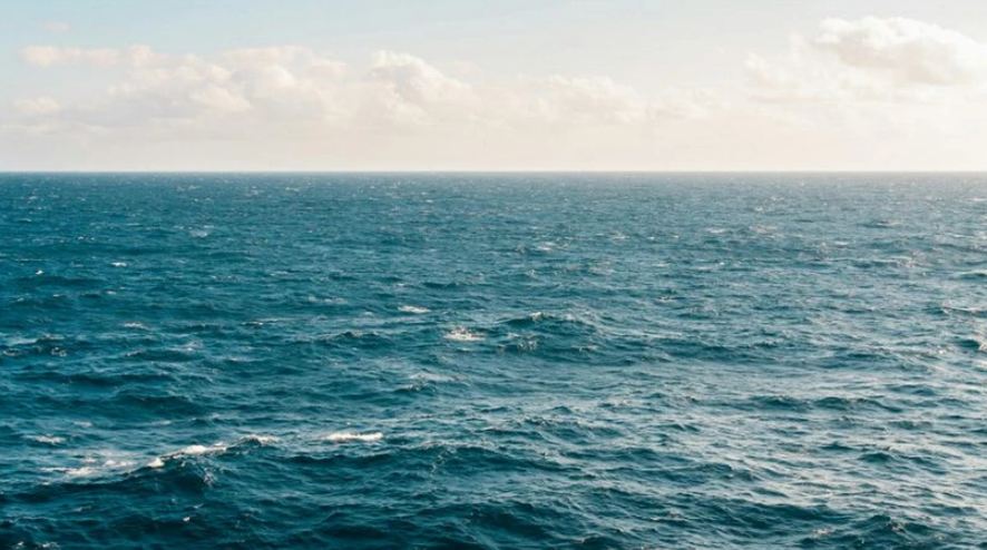 La Comisión propone una medida de cooperación contra la pesca INDNR con Vietnam