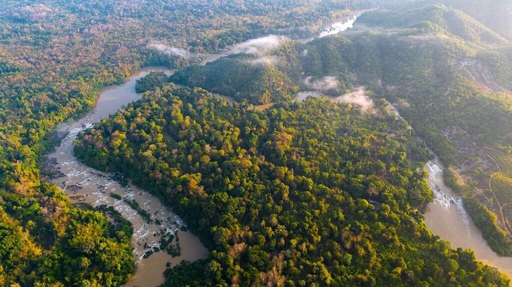 Parque Nacional de Cat Tien, un lugar de conservación de la naturaleza y la biodiversidad de Vietnam