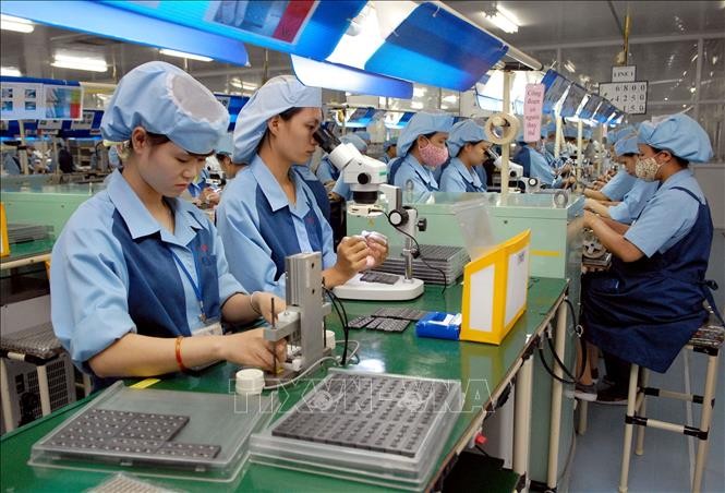Señales alentadoras de la producción y el comercio de Vietnam en el primer semestre