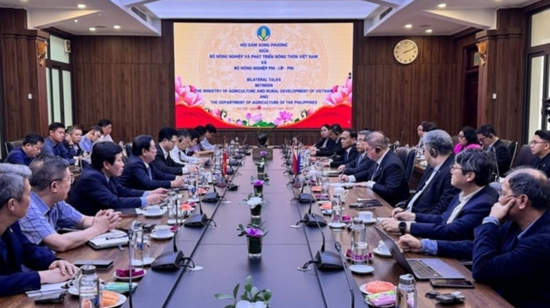 Aumenta la cooperación con Filipinas en la producción arrocera