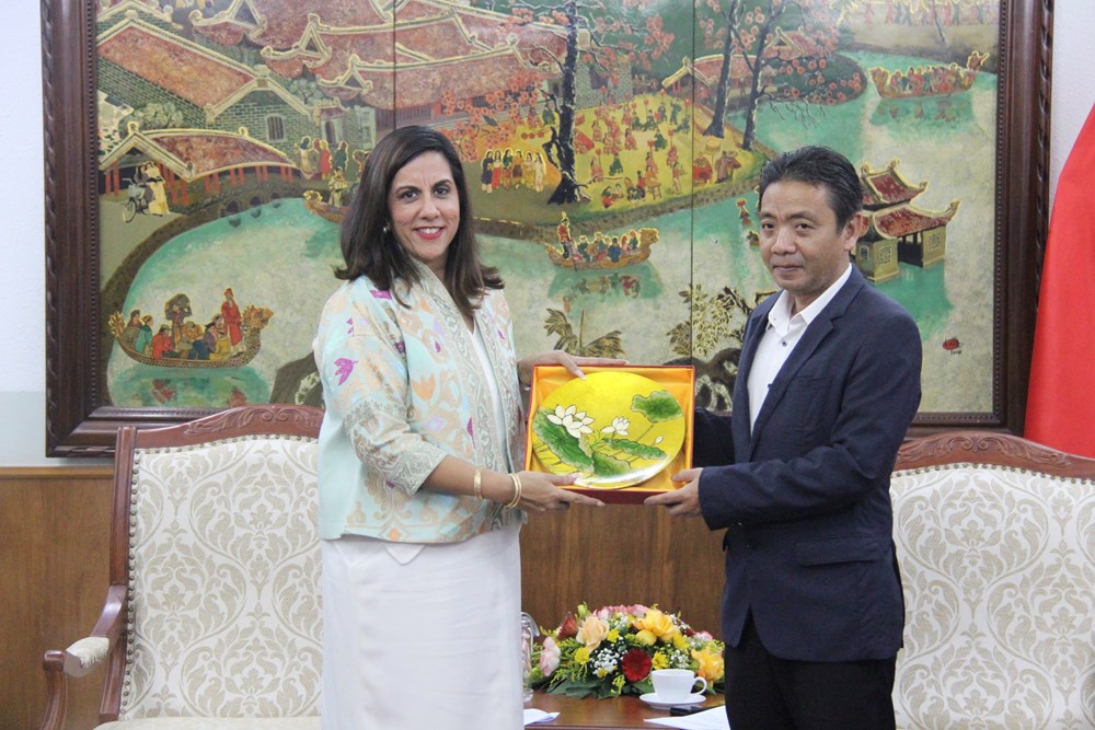 Aumenta la cooperación con Google para promover imágenes culturales y turísticas de Vietnam