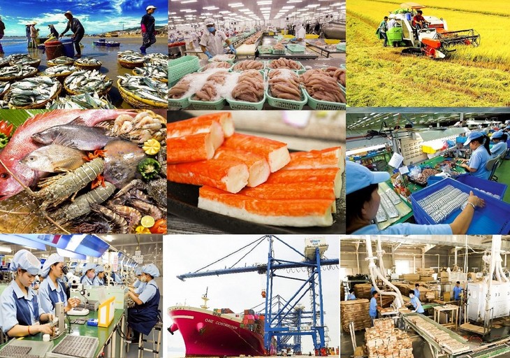 Exportaciones vietnamitas a la UE pueden superar 50 mil millones en segunda mitad de 2024