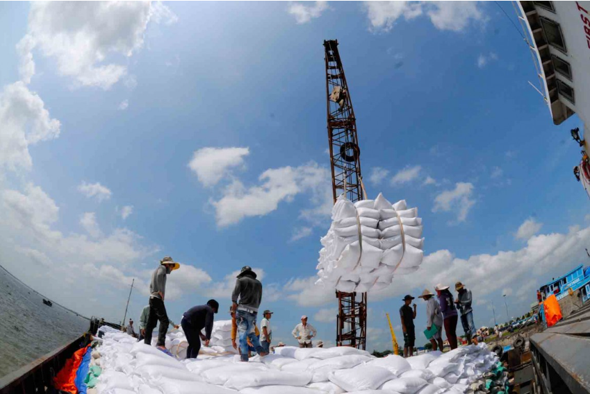 Exportación de arroz a Indonesia Construyendo un entorno de competencia saludable