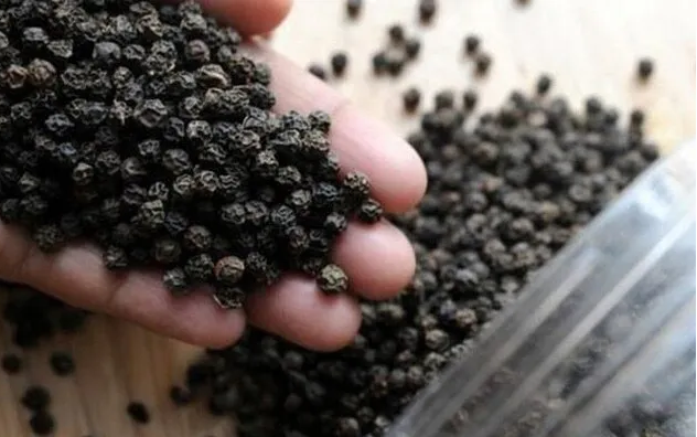 Aumentan las exportaciones de pimienta vietnamita en el primer semestre del año