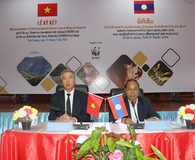 Vietnam y Laos refuerzan cooperación en gestión y protección forestal