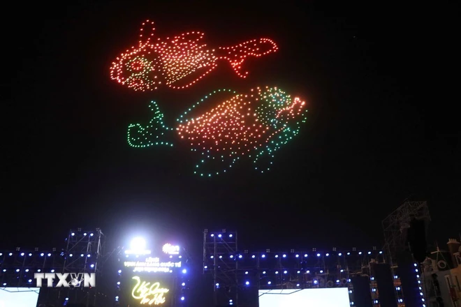 Concluye el Festival Internacional de Luz de Nha Trang