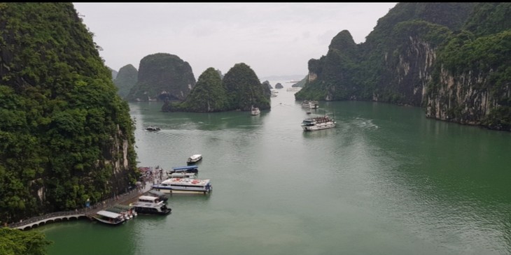 La travesía única “Vuelta por el Patrimonio de Ha Long”