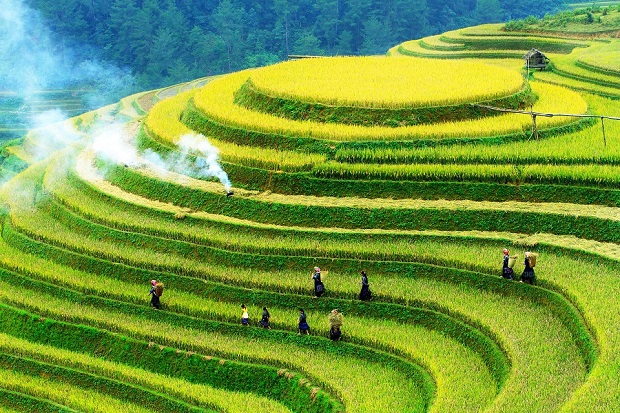 Mu Cang Chai entre los 25 destinos con belleza surrealista”