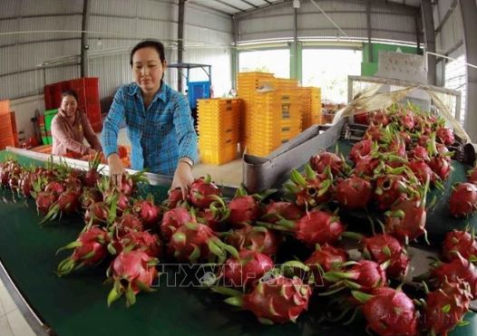 Vietnam y China disponen de oportunidades en relaciones comeciales