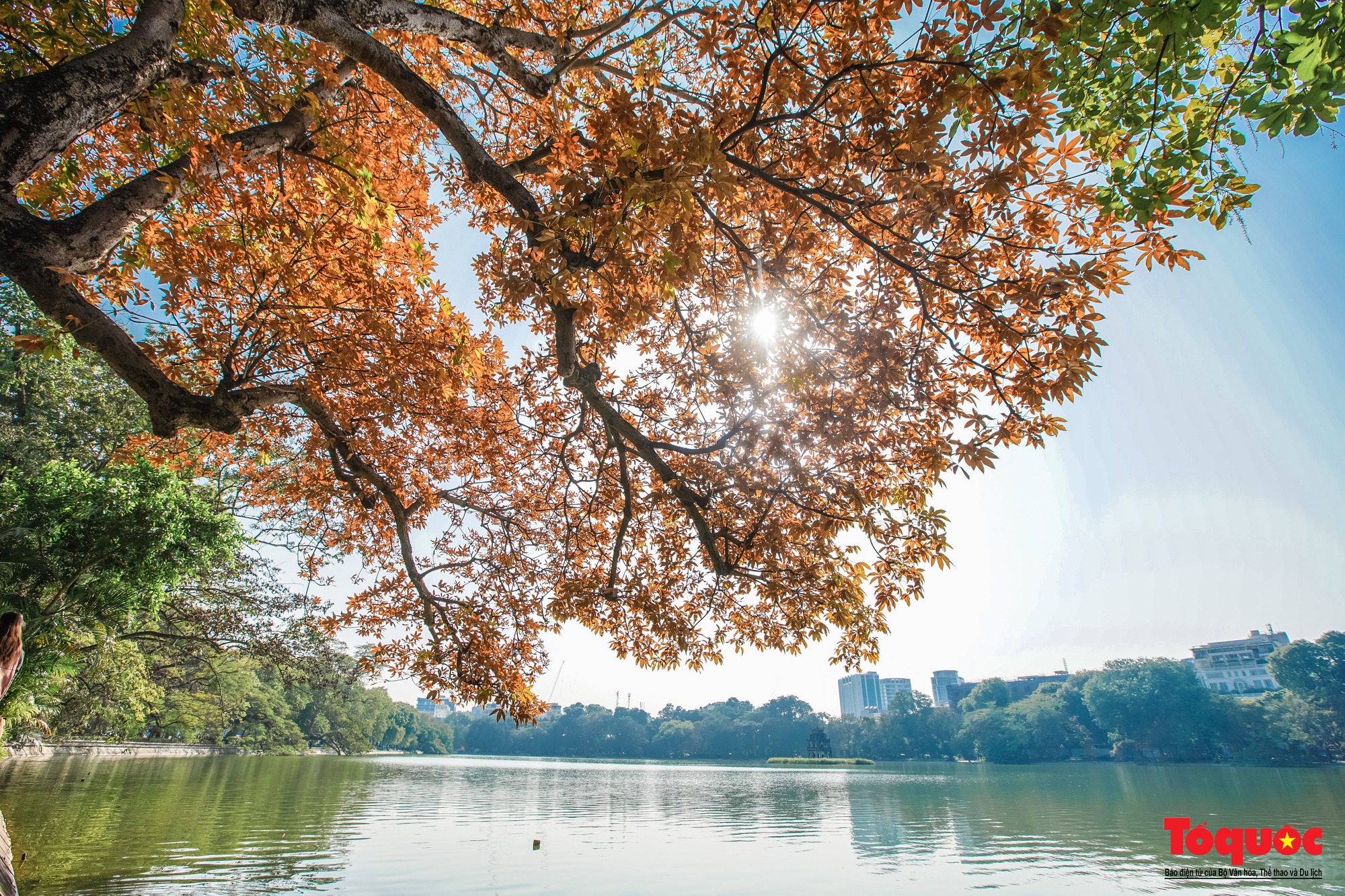 El diario Times of India revela las 7 atracciones imprescindibles de Vietnam